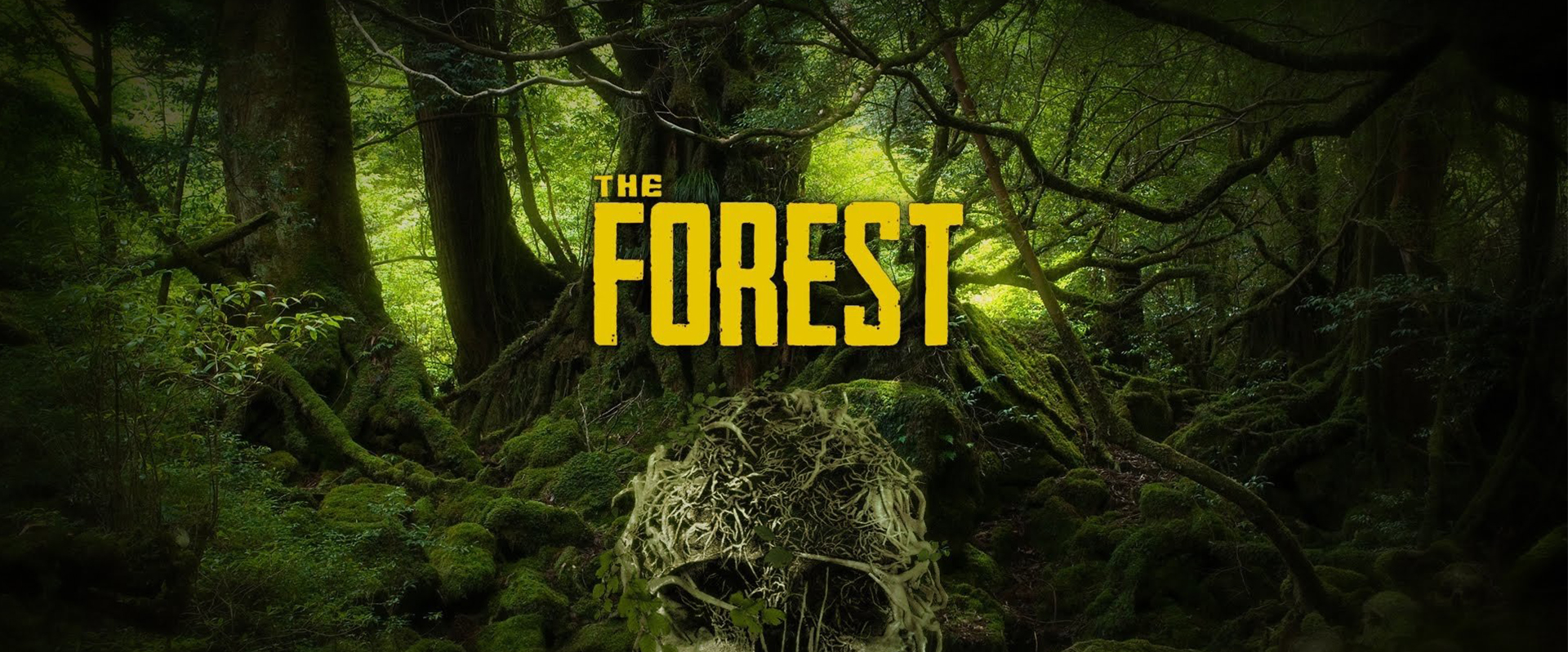 The Forest